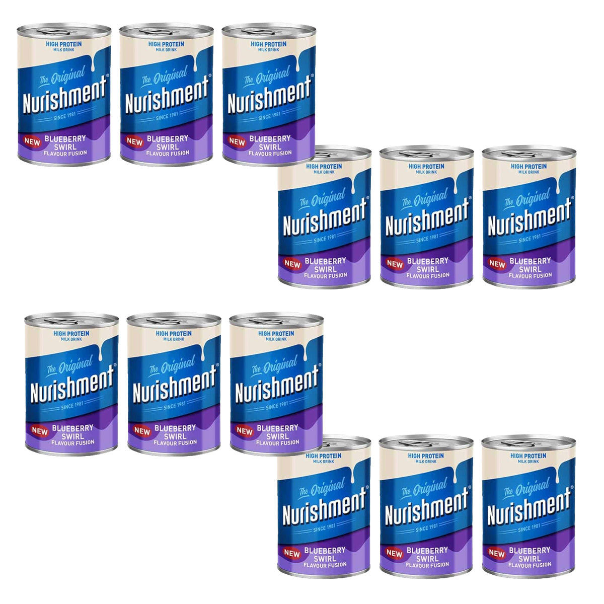 Nurishment Blueberry Swirl 12x400g