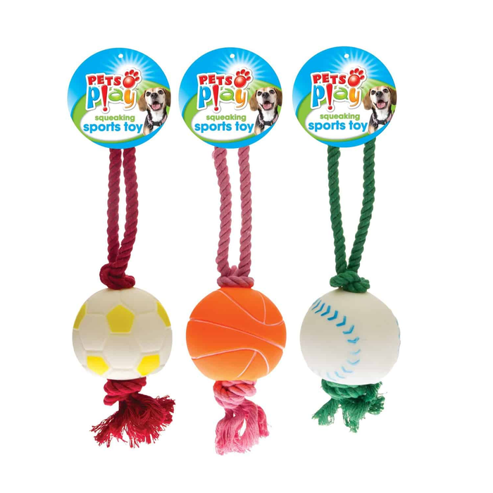 Squeaking Sports Toy